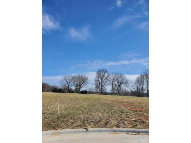 (private lake, pond, creek) Lot For Sale in Springfield Missouri