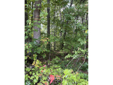 (private lake, pond, creek) Acreage For Sale in Corbin Kentucky