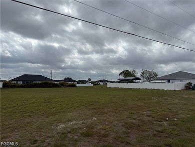 Prime Cleared Residential Lot in Growing Northwest Cape Coral - - photo 3