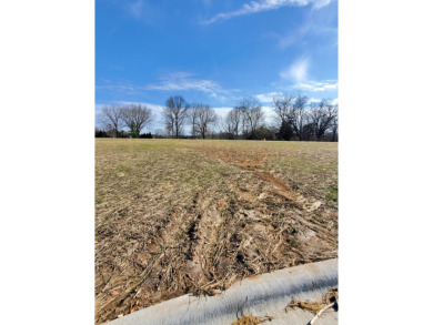 (private lake, pond, creek) Lot For Sale in Springfield Missouri