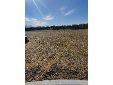 (private lake, pond, creek) Lot For Sale in Springfield Missouri