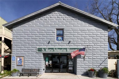 Plenty of space in Downtown Historic Saint Marys! Sitting - photo 46