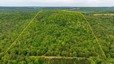 (private lake, pond, creek) Acreage For Sale in Mountain View Arkansas