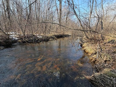 (private lake, pond, creek) Acreage Active Under Contract in Kennan Wisconsin
