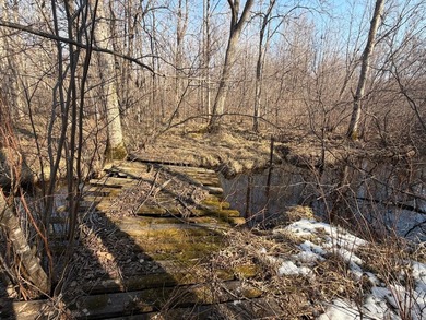 5.3 wooded acres on the South Fork of Main Creek. The property - photo 2