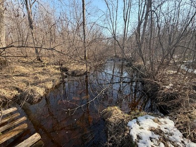 5.3 wooded acres on the South Fork of Main Creek. The property - photo 3