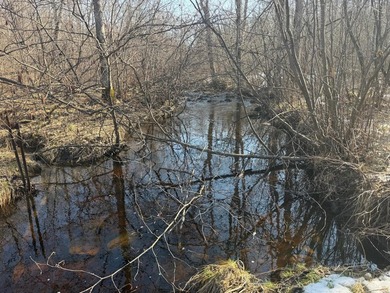 5.3 wooded acres on the South Fork of Main Creek. The property - photo 4