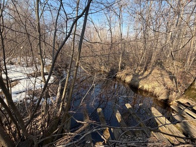 5.3 wooded acres on the South Fork of Main Creek. The property - photo 5