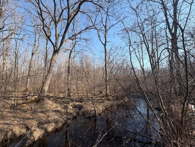 5.3 wooded acres on the South Fork of Main Creek. The property - photo 6
