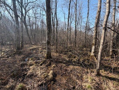 5.3 wooded acres on the South Fork of Main Creek. The property - photo 7