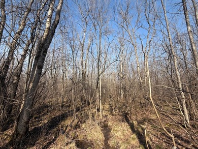 5.3 wooded acres on the South Fork of Main Creek. The property - photo 9