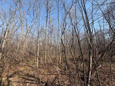 5.3 wooded acres on the South Fork of Main Creek. The property - photo 10