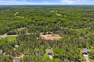 Lake Arrowhead Lake Access Home! 320-acre Lake Arrowhead and - photo 5