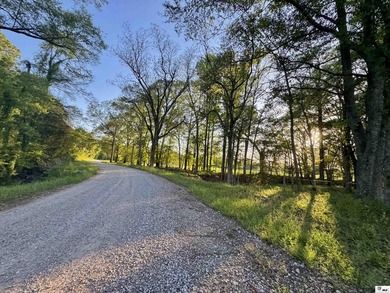 436+/- Acres | Prime Development & Investment Tract Located in - photo 6