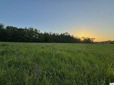 436+/- Acres | Prime Development & Investment Tract Located in - photo 9