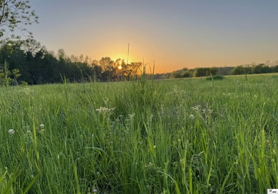 436+/- Acres | Prime Development & Investment Tract Located in - photo 10