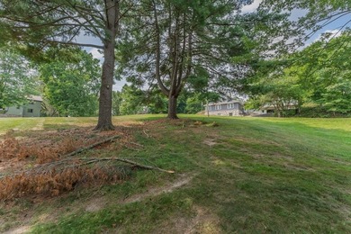 Endless Possibilities on Lake Delton! Bring your vision and - photo 57