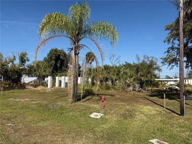 Port Charlotte Waterway Area Lot For Sale in Port Charlotte Florida