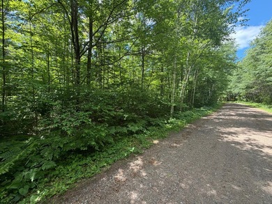 34 Acre lot in Rockwood Estates - Level building site with a - photo 1