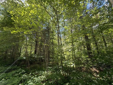 34 Acre lot in Rockwood Estates - Level building site with a - photo 2