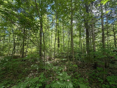 34 Acre lot in Rockwood Estates - Level building site with a - photo 3