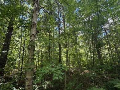34 Acre lot in Rockwood Estates - Level building site with a - photo 4