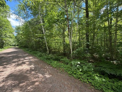 34 Acre lot in Rockwood Estates - Level building site with a - photo 1