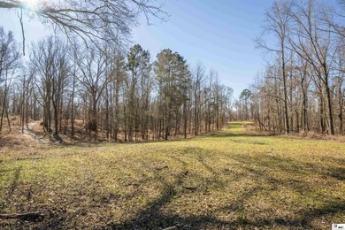 (private lake, pond, coastal) Acreage For Sale in Lorman Mississippi
