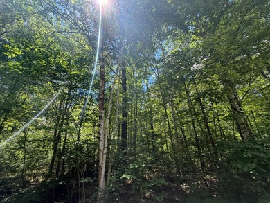34 Acre lot in Rockwood Estates - Level building site with a - photo 2