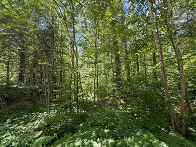 34 Acre lot in Rockwood Estates - Level building site with a - photo 3
