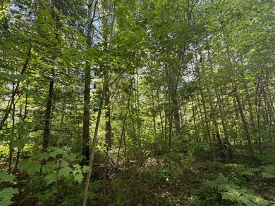 34 Acre lot in Rockwood Estates - Level building site with a - photo 5