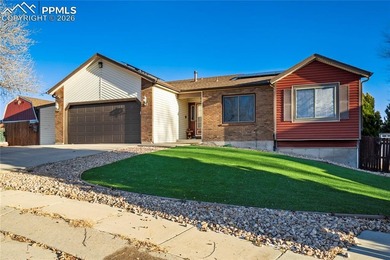 Welcome to the perfect blend of country living and city