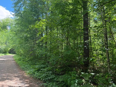 34 Acre lot in Rockwood Estates - Level building site with a - photo 1