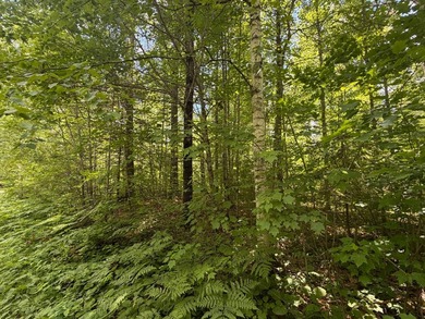 34 Acre lot in Rockwood Estates - Level building site with a - photo 4