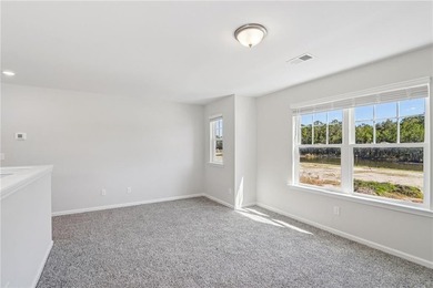 The Magnolia plan by Smith Family Homes is under construction in - photo 18