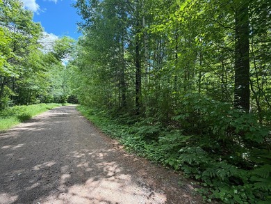 35 Acre lot in Rockwood Estates - Level building site with a - photo 1