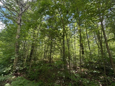 35 Acre lot in Rockwood Estates - Level building site with a - photo 3