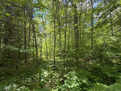 35 Acre lot in Rockwood Estates - Level building site with a - photo 5