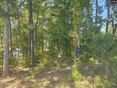 Build your dream home on this beautiful .45-acre waterfront lot - photo 6