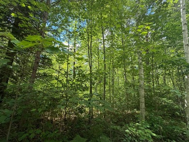 35 Acre lot in Rockwood Estates - Level building site with a - photo 6