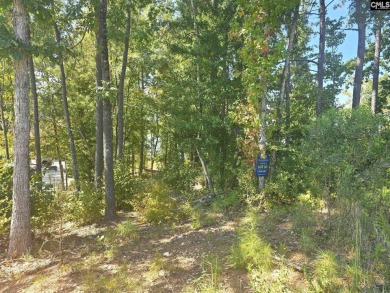Build your dream home on this beautiful .45-acre waterfront lot - photo 8