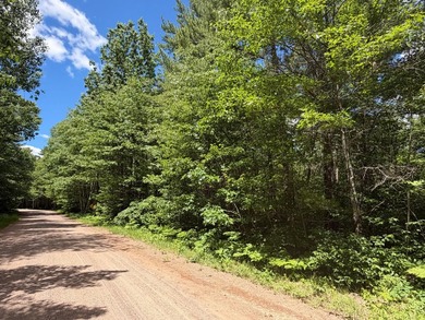 34 Acre lot in Rockwood Estates - Level building site with a - photo 1