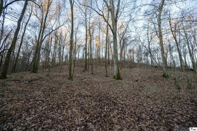 Hunting Land for sale in Jefferson County, MS. This 428.5+/- - photo 1