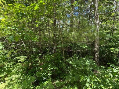 34 Acre lot in Rockwood Estates - Level building site with a - photo 2