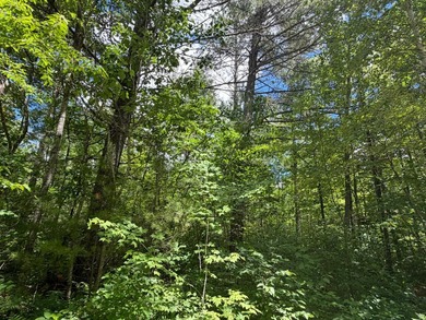34 Acre lot in Rockwood Estates - Level building site with a - photo 3