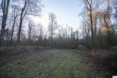 Hunting Land for sale in Jefferson County, MS. This 428.5+/- - photo 4