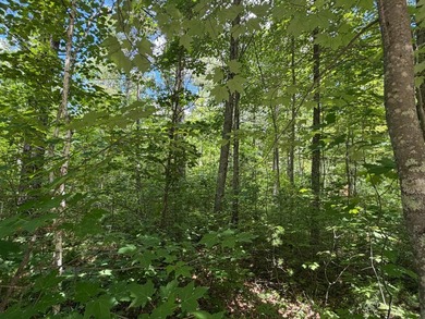 34 Acre lot in Rockwood Estates - Level building site with a - photo 5