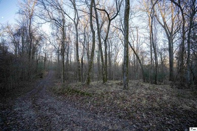 Hunting Land for sale in Jefferson County, MS. This 428.5+/- - photo 5