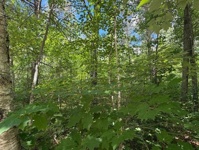 34 Acre lot in Rockwood Estates - Level building site with a - photo 6