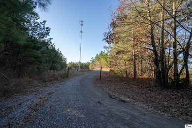 Hunting Land for sale in Jefferson County, MS. This 428.5+/- - photo 8